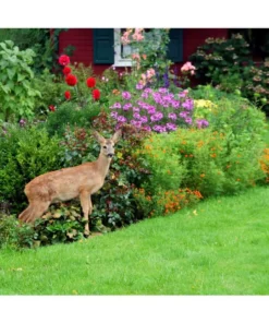 Vigoro 7 ft. x 100 ft. Polypropylene Deer Block Netting Barrier, UV Treated (5-Pack) -Outdoor Plant Life vigoro landscape fabric nmvdb07100h 5pk 1d 1000