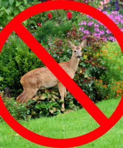 Vigoro 7 ft. x 100 ft. Polypropylene Deer Block Netting Barrier, UV Treated -Outdoor Plant Life vigoro landscape fabric nmvdb07100h 77 1000