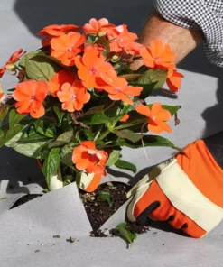 Vigoro 4 ft. x 100 ft. Matrix Grid Heavy-Duty Landscape Fabric (4-Pack) 18 Vigoro 4 ft. x 100 ft. Matrix Grid Heavy-Duty Landscape Fabric (4-Pack) -Outdoor Plant Life vigoro landscape fabric vpnm410085 4pk 66 1000