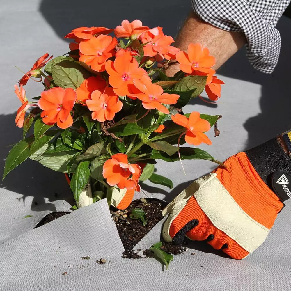 Vigoro 4 ft. x 100 ft. Matrix Grid Heavy-Duty Landscape Fabric (4-Pack) 7 Vigoro 4 ft. x 100 ft. Matrix Grid Heavy-Duty Landscape Fabric (4-Pack) - Image 5