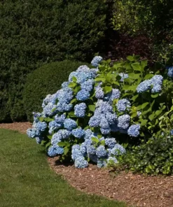 Vigoro 4 ft. x 50 ft. Matrix Grid Heavy-Duty Landscape Fabric (4-Pack) -Outdoor Plant Life vigoro landscape fabric vpnm45085 4pk 77 1000