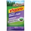 Vigoro 32 lbs. 10,000 sq. ft. Weed and Feed Weed Killer Plus Lawn Fertilizer for Southern Grass Types -Outdoor Plant Life vigoro lawn fertilizers 22540 1 64 1000