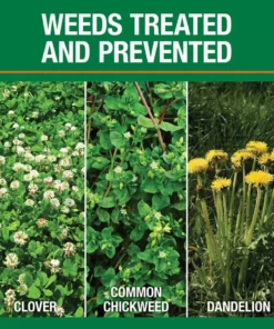 Vigoro 32 lbs. 10,000 sq. ft. Weed and Feed Weed Killer Plus Lawn Fertilizer for Florida Grass Types -Outdoor Plant Life vigoro lawn fertilizers 22562 1 c3 1000