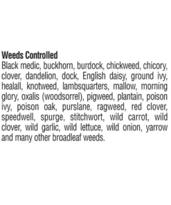 Vigoro 32 oz. 7,500 sq. ft. Spring Ready-to-Spray Concentrate Weed and Feed Lawn Fertilizer -Outdoor Plant Life vigoro lawn fertilizers hg 52511 2 77 1000