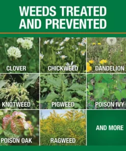 Vigoro 32 oz. 7,500 sq. ft. Spring Ready-to-Spray Concentrate Weed and Feed Lawn Fertilizer -Outdoor Plant Life vigoro lawn fertilizers hg 52511 2 c3 1000