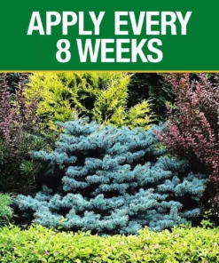 Vigoro 3.5 lb. All Season Tree, Shrub and Evergreen Plant Food (16-4-8) -Outdoor Plant Life vigoro plant food fertilizer 124260 1f 1000