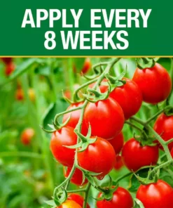 Vigoro 3.5 lb. All Season Tomato and Vegetable Garden Plant Food Plus Calcium (12-10-5) -Outdoor Plant Life vigoro plant food fertilizer 124346 1f 1000