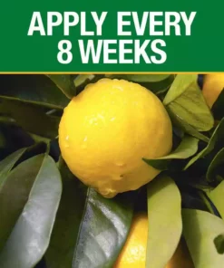 Vigoro 3.5 lb. All Season Citrus and Avocado Plant Food (6-4-6) 9 Vigoro 3.5 lb. All Season Citrus and Avocado Plant Food (6-4-6) -Outdoor Plant Life vigoro plant food fertilizer 133244 1f 1000