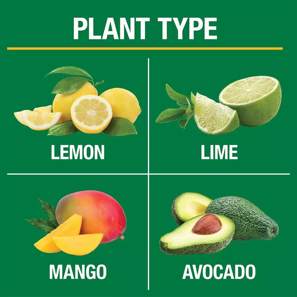 Vigoro 3.5 lb. All Season Citrus and Avocado Plant Food (6-4-6) 4 Vigoro 3.5 lb. All Season Citrus and Avocado Plant Food (6-4-6) - Image 2