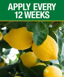 Vigoro 4.2 lb. All Season Fruit, Nut and Citrus Fertilizer Spikes (16-4-8) (15-Count) 9 Vigoro 4.2 lb. All Season Fruit, Nut and Citrus Fertilizer Spikes (16-4-8) (15-Count) -Outdoor Plant Life vigoro plant food fertilizer 154306 1f 1000