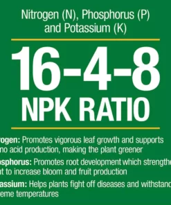 Vigoro 4.2 lb. All Season Fruit, Nut and Citrus Fertilizer Spikes (16-4-8) (15-Count) 8 Vigoro 4.2 lb. All Season Fruit, Nut and Citrus Fertilizer Spikes (16-4-8) (15-Count) -Outdoor Plant Life vigoro plant food fertilizer 154306 4f 1000