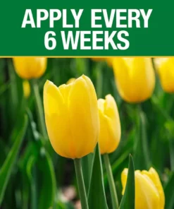 Vigoro 3.5 lb. All Season Bulb Fuel Plant Food (9-9-6) 9 Vigoro 3.5 lb. All Season Bulb Fuel Plant Food (9-9-6) -Outdoor Plant Life vigoro plant food fertilizer 156269 1f 1000