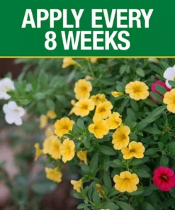 Vigoro 14 lb. All Season Bold Blooms Flowering Plant Food (15-30-15) 9 Vigoro 14 lb. All Season Bold Blooms Flowering Plant Food (15-30-15) -Outdoor Plant Life vigoro plant food fertilizer 160255 1f 1000