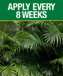 Vigoro 20 lb. All Season Ixora and Ornamental Plant Food (8-4-8) -Outdoor Plant Life vigoro plant food fertilizer 162227 1f 1000