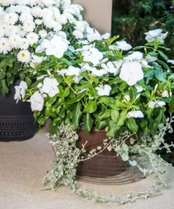 Vigoro 12 in. Plastic Deep Planter Liner 8 Vigoro 12 in. Plastic Deep Planter Liner -Outdoor Plant Life vigoro plant liners dl12vg 4f 1000