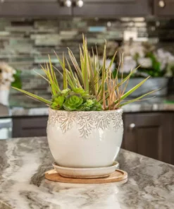 Vigoro 10 in. Bamboo Plant Saucer -Outdoor Plant Life vigoro planter saucers bbs10vg 1f 1000