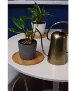 Vigoro 10 in. Bamboo Plant Saucer -Outdoor Plant Life vigoro planter saucers bbs10vg 76 1000