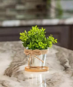 Vigoro 4 in. Bamboo Plant Saucer -Outdoor Plant Life vigoro planter saucers bbs4vg 1f 1000