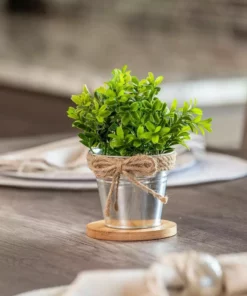 Vigoro 4 in. Bamboo Plant Saucer -Outdoor Plant Life vigoro planter saucers bbs4vg 44 1000