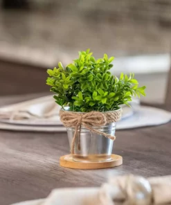 Vigoro 4 in. Bamboo Plant Saucer -Outdoor Plant Life vigoro planter saucers bbs4vg fa 1000