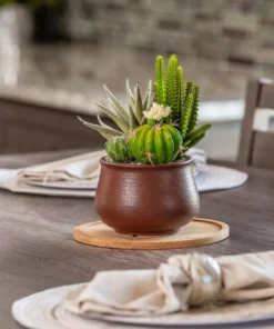 Vigoro 8 in. Bamboo Plant Saucer -Outdoor Plant Life vigoro planter saucers bbs8vg 1f 1000