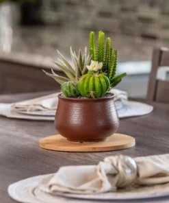 Vigoro 8 in. Bamboo Plant Saucer -Outdoor Plant Life vigoro planter saucers bbs8vg 44 1000