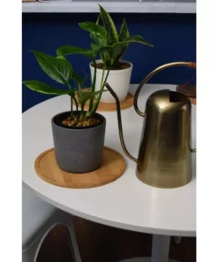 Vigoro 8 in. Bamboo Plant Saucer -Outdoor Plant Life vigoro planter saucers bbs8vg 76 1000