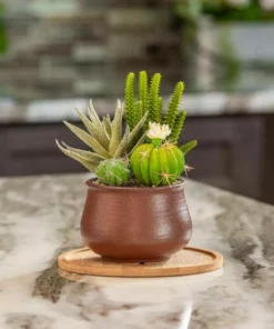 Vigoro 8 in. Bamboo Plant Saucer -Outdoor Plant Life vigoro planter saucers bbs8vg fa 1000