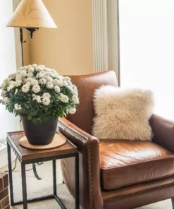 Vigoro 10 in. Cork Mat -Outdoor Plant Life vigoro planter saucers cm10phbdi 1f 1000