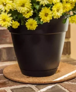 Vigoro 10 in. Cork Mat -Outdoor Plant Life vigoro planter saucers cm10phbdi 44 1000