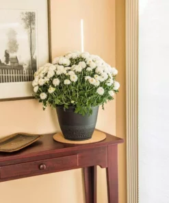 Vigoro 10 in. Cork Mat -Outdoor Plant Life vigoro planter saucers cm10phbdi 4f 1000