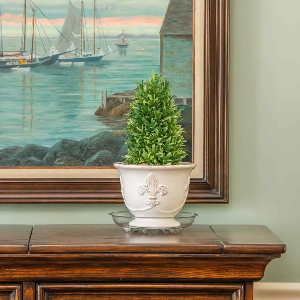 Vigoro 10 in. Heavy Duty Plant Saucer 6 Vigoro 10 in. Heavy Duty Plant Saucer - Image 4