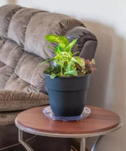 Vigoro 10 in. Heavy Duty Plant Saucer 8 Vigoro 10 in. Heavy Duty Plant Saucer -Outdoor Plant Life vigoro planter saucers sp10vg 4f 1000