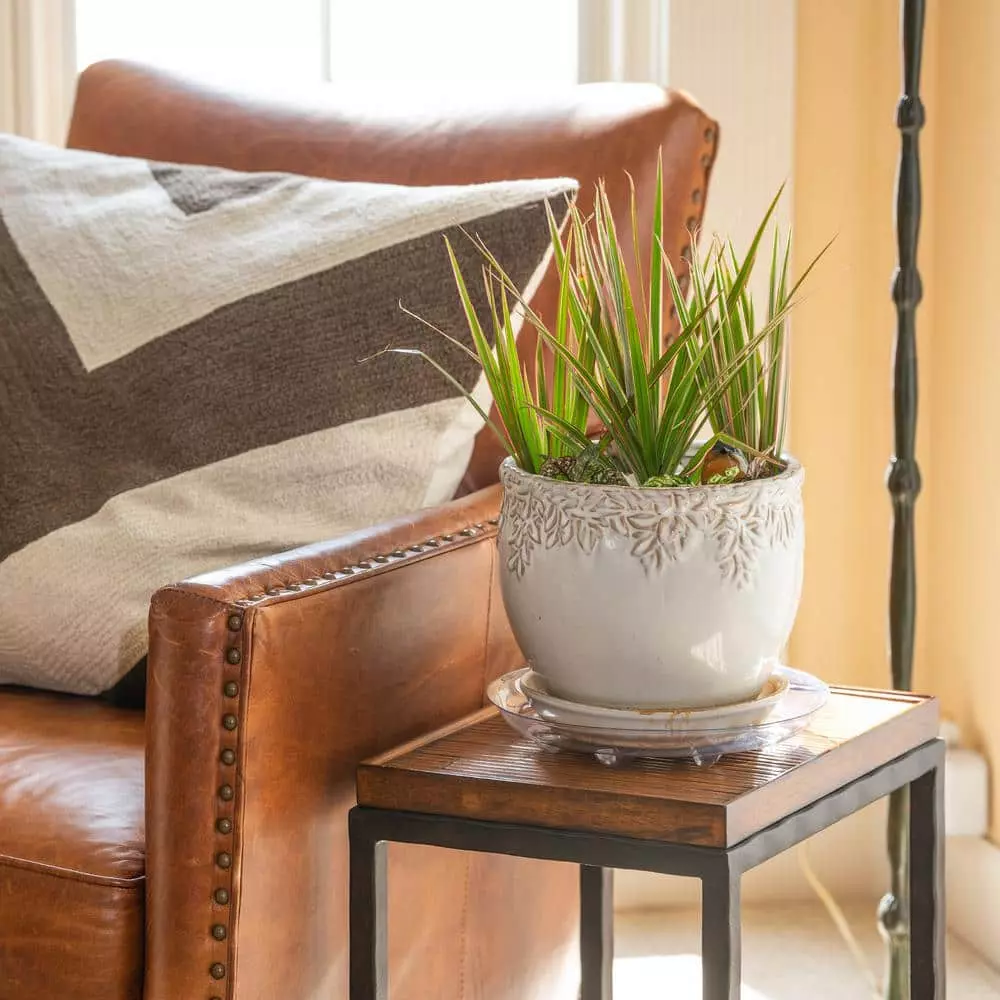 Vigoro 10 in. Heavy Duty Plant Saucer 4 Vigoro 10 in. Heavy Duty Plant Saucer - Image 2