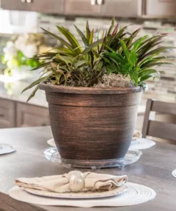 Vigoro 14 in. Heavy Duty Plant Saucer -Outdoor Plant Life vigoro planter saucers sp14vg 1f 1000