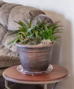 Vigoro 14 in. Heavy Duty Plant Saucer -Outdoor Plant Life vigoro planter saucers sp14vg 44 1000