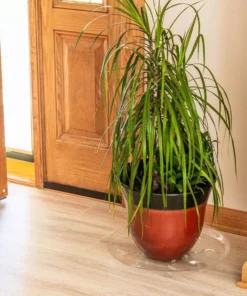 Vigoro 16 in. Heavy Duty Planter Saucer -Outdoor Plant Life vigoro planter saucers sp16vg 4f 1000