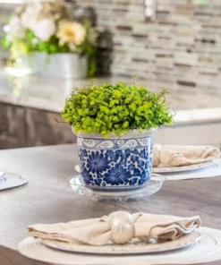 Vigoro 6 in. Heavy Duty Plant Saucer -Outdoor Plant Life vigoro planter saucers sp6vg 44 1000