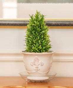 Vigoro 8 in. Heavy Duty Plant Saucer 9 Vigoro 8 in. Heavy Duty Plant Saucer -Outdoor Plant Life vigoro planter saucers sp8vg 1f 1000