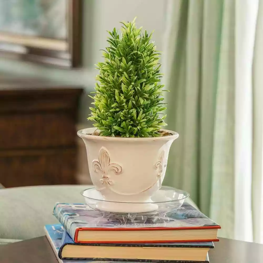 Vigoro 8 in. Heavy Duty Plant Saucer 7 Vigoro 8 in. Heavy Duty Plant Saucer - Image 5