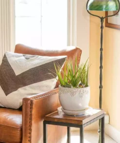 Vigoro 10 in. Plastic Plant Saucer 11 Vigoro 10 in. Plastic Plant Saucer -Outdoor Plant Life vigoro planter saucers vs10vg 1f 1000