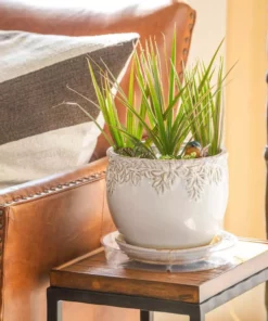 Vigoro 10 in. Plastic Plant Saucer 12 Vigoro 10 in. Plastic Plant Saucer -Outdoor Plant Life vigoro planter saucers vs10vg 44 1000