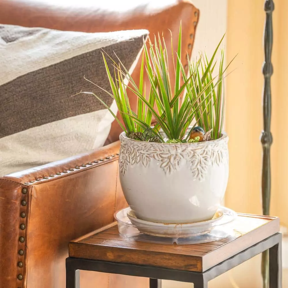 Vigoro 10 in. Plastic Plant Saucer 7 Vigoro 10 in. Plastic Plant Saucer - Image 5