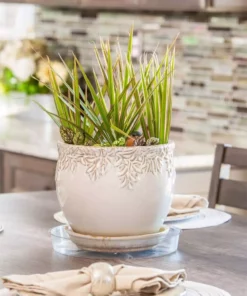 Vigoro 10 in. Plastic Plant Saucer 10 Vigoro 10 in. Plastic Plant Saucer -Outdoor Plant Life vigoro planter saucers vs10vg 4f 1000