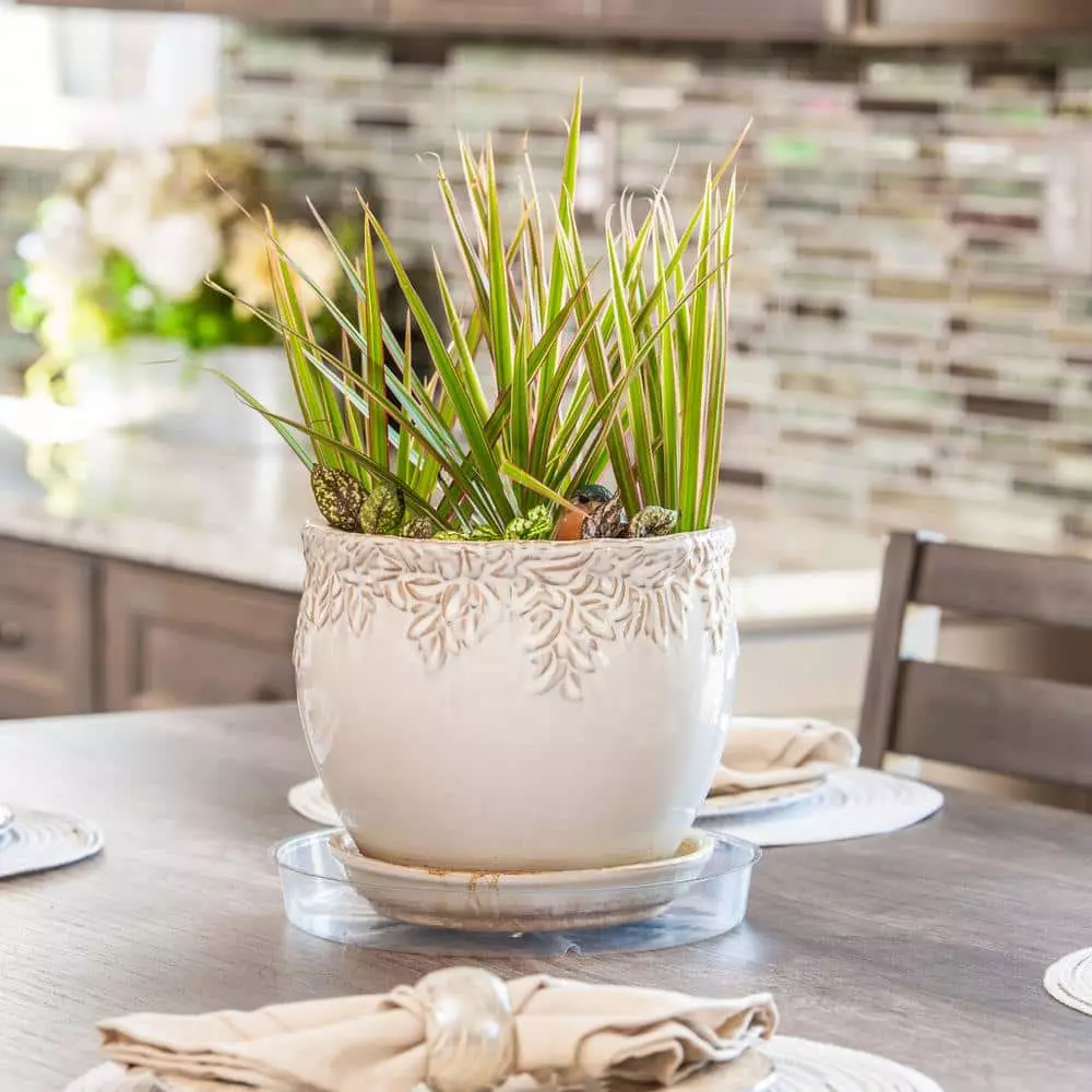 Vigoro 10 in. Plastic Plant Saucer 5 Vigoro 10 in. Plastic Plant Saucer - Image 3