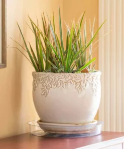 Vigoro 10 in. Plastic Plant Saucer 13 Vigoro 10 in. Plastic Plant Saucer -Outdoor Plant Life vigoro planter saucers vs10vg fa 1000