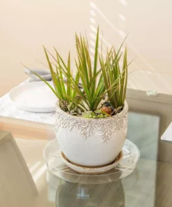 Vigoro 12 in. Plastic Plant Saucer -Outdoor Plant Life vigoro planter saucers vs12vg 44 1000