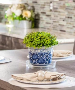 Vigoro 6 in. Plastic Plant Saucer -Outdoor Plant Life vigoro planter saucers vs6vg 1f 1000