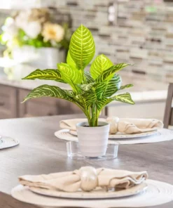 Vigoro 6 in. Plastic Plant Saucer -Outdoor Plant Life vigoro planter saucers vs6vg 4f 1000