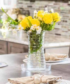 Vigoro 8 in. Plastic Plant Saucer 14 Vigoro 8 in. Plastic Plant Saucer -Outdoor Plant Life vigoro planter saucers vs8vg 1f 1000